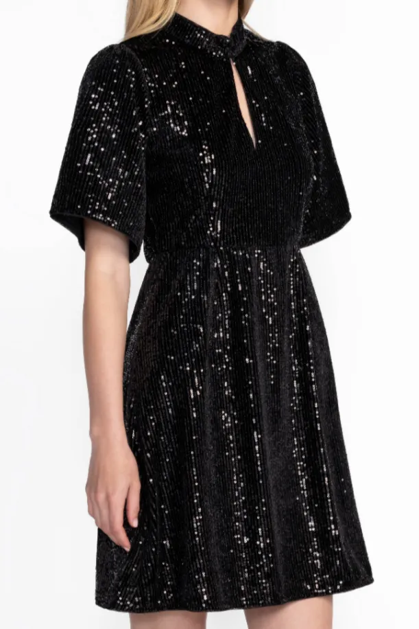 Johnny Was Eve Sequin Mini Dress